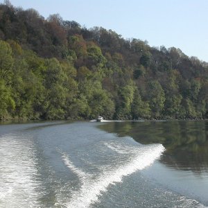 Some of the scenery
