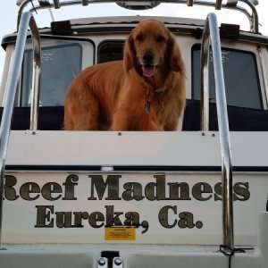Docker onboard