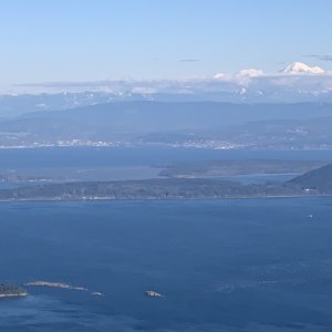 Mt Constitution