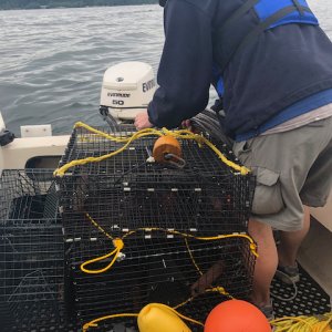 Every year I do this, I remain in awe that I can fit two grown men, 4 shrimp pots, 4 sets of buoys and ropes as well as a variety of buckets in the cockpit of a 16 foot Angler.