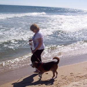 Rufus Shelling on the Beach at St. George Island