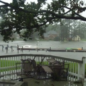 Media 'Once a creek, now a bay' in album 'No boating tomorrow...'