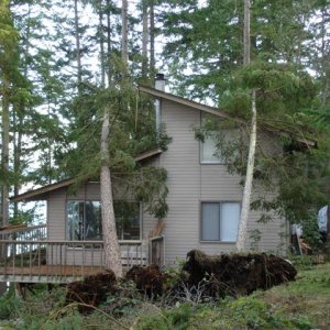 Media 'winds up to 80mph.  big clean up, not much damage.  we face north, wnds were from the west.' in album 'winds up to 80mph.  big clean up, not much damage.  we face north, wnds were from the west.'