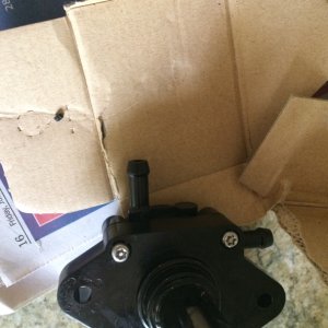 Low pressure fuel pump and rubber