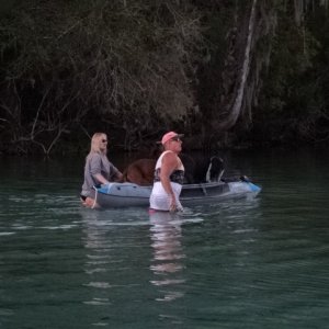 Non C Dory owners, put the dogs in the dinghy--and they walk the boat back to their cruiser...
