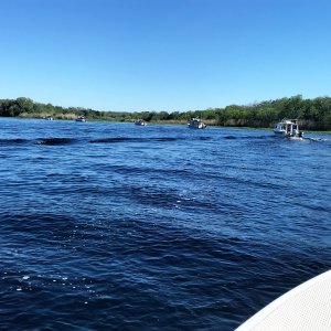 Cruising on the St. John\'s River after the gathering
