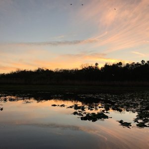 Butchers Bend Sunset