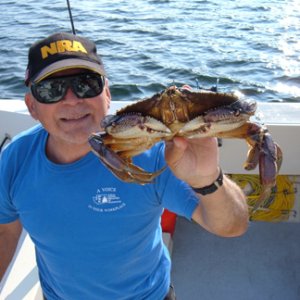 Jennis Bay Crabs
