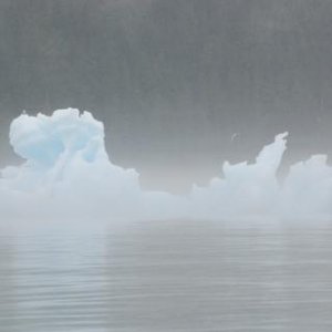 Icebergs in Tracy Arm, Tracy Arm-Fords Terror Wilderness