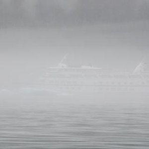Cruise Ship in foggy Tracy Arm Fiord