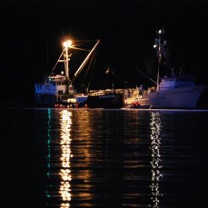 Taku Harbor, off-loading the salmon catch of the day