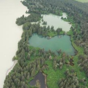 Varied silted water