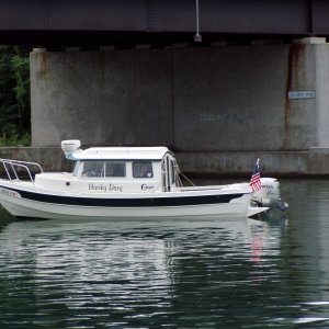 Hunky Dory Under the Bridge at Seneca Falls