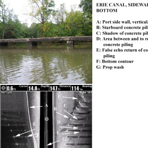 Side Scan Sonar Image with Photo 1 of 3 by Alma's Only