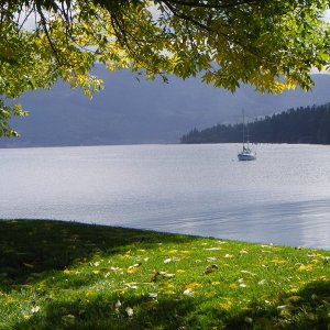 Early fall golden leaves framing Sequim Bay anchorage.