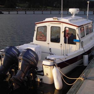 Early morning at Island Marine Center, Fisherman's Bay, Lopez Island.  First CBGT.