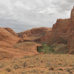 There are supposed to be petroglyphs.