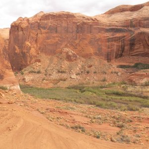 I never found any petroglyphs.