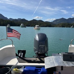 Queens Cove