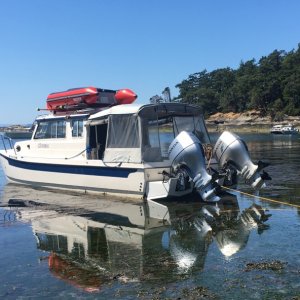 in the mud at shallow bay