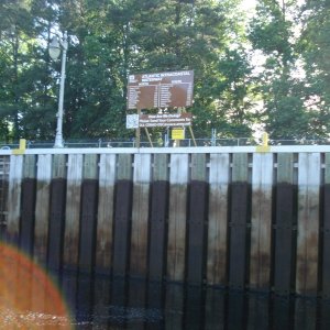 carolina loop 063