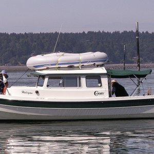 Halcyon on the Nisqually Delta 7-14-07