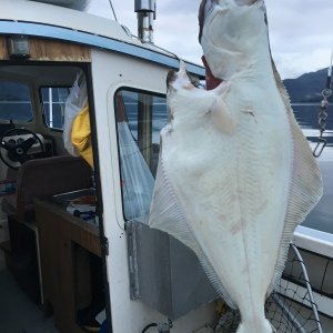 Media 'Big But, 11 June 2016, Prince William Sound' in album 'Big But, 11 June 2016, Prince William Sound'