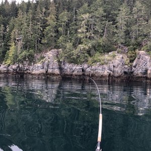 Media 'Blackney' in album 'dock fishing'