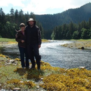 in back ground the area where bear appeared near.
