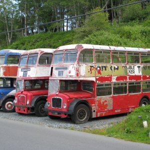 Buses Alert Bay