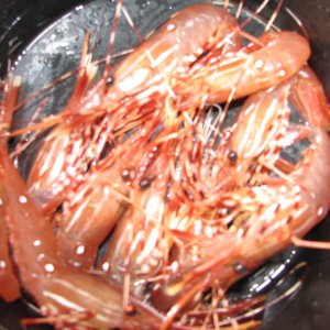 Spot Prawns