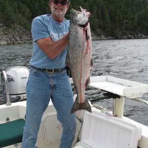 Media '30 lb. Chinook,  Sarah Point' in album 'Discovery, Dreamer and C-Cakes at Lagoon Cove 2011'