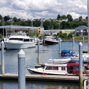 Everett North Marina