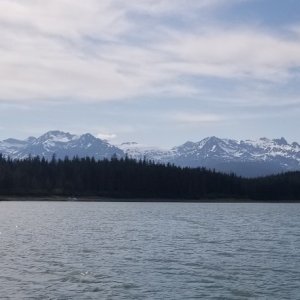 boat harbor skyline