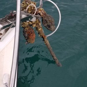 Old Anchor2