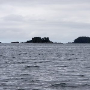 Salisbury Sound