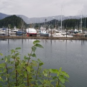 Hoonah harbor