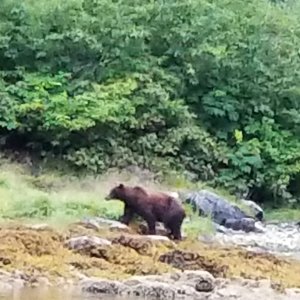 Bear Warm Springs Bay