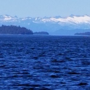Looking up Keku Strait