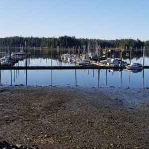 Kake harbor - very low tide