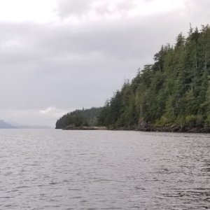 Growler Cove looking out to Johnstone