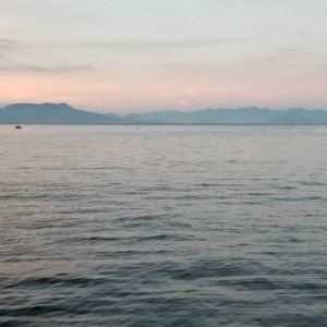 Pilot Bay