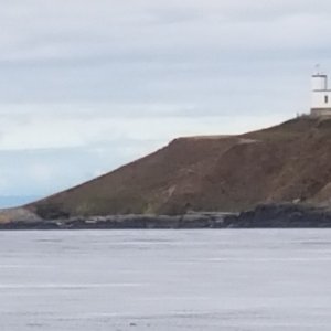 Cattle Point
