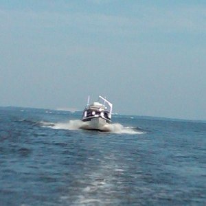 Sea Pal Crossing Albemarle