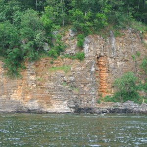 Kentucky Lake shoreline