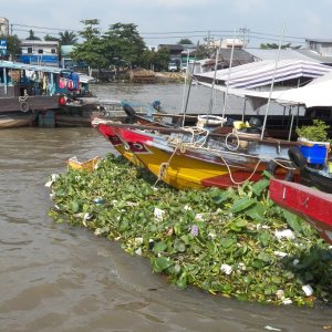 When the tide changed, the boats at the front started collecting water hyacinth and garbage.