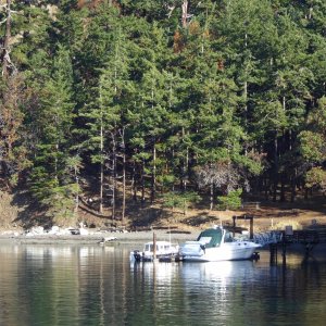 View of the dock from a small cove just to the South with some Cascadia marine trail campsites for kayakers.