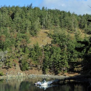 A view of the North half of the island...no trails over there as it is a NWR area.