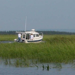 DSCN0798.JPG