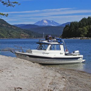One of the lakes islands